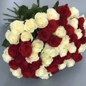 red and white rose bouquet 55 stems