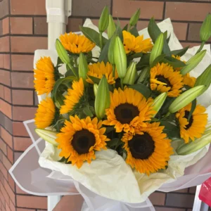 sun flowers